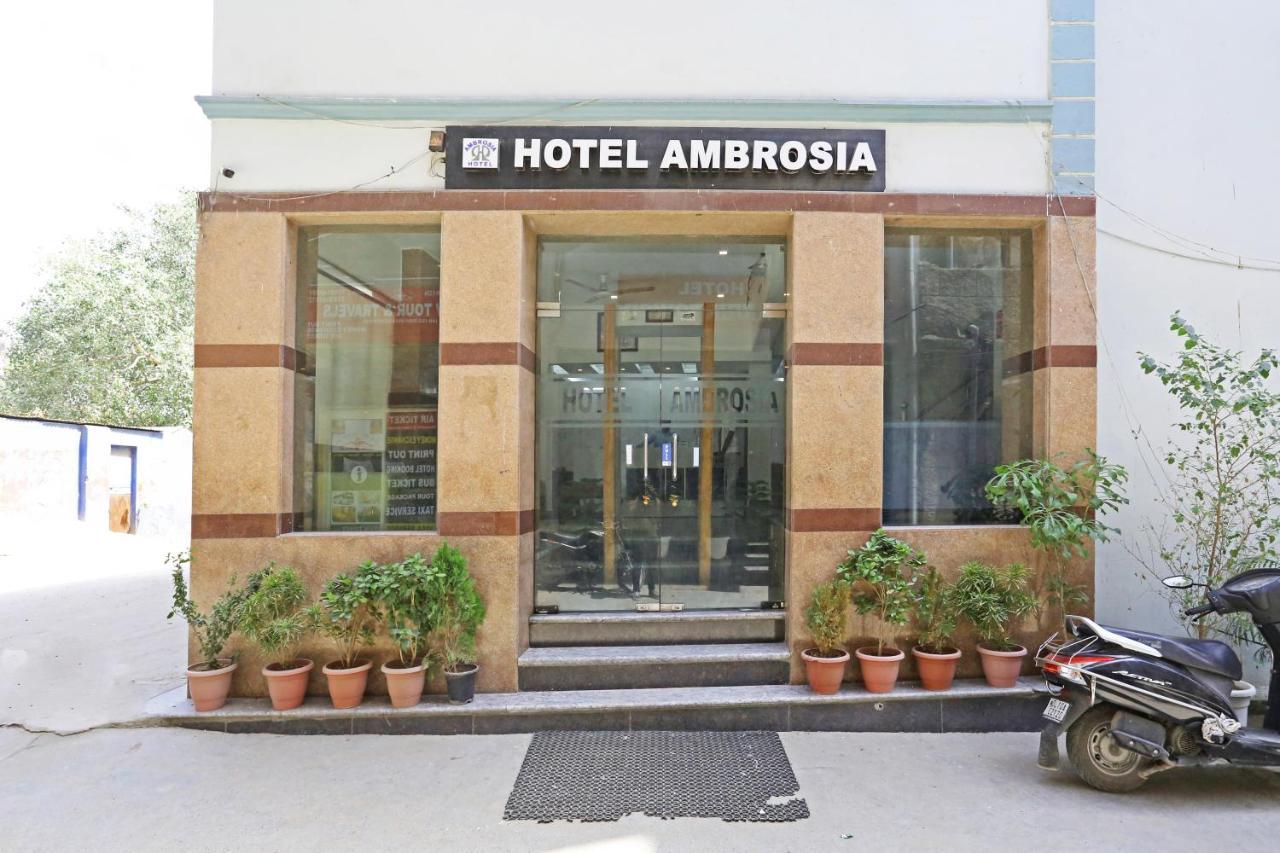 Hotel Ambrosia - A Boutique Hotel New Delhi Eksteriør billede